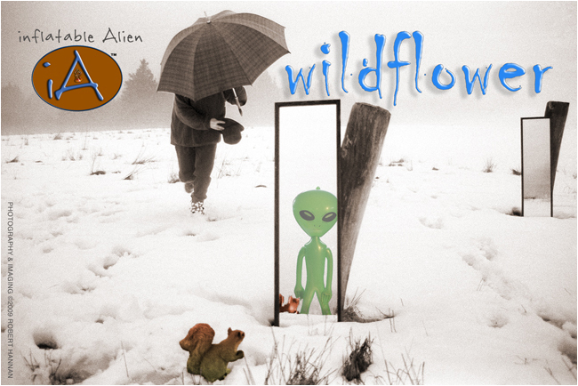 image of poster 1